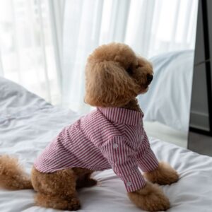 9692e2f2-f047-4e0d-ba4f-075152d6abac