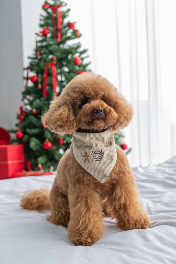 BANDANA MERRY AND BRIGHT