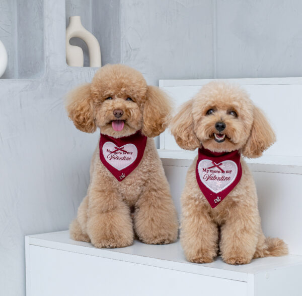 BANDANA HEARTBREAKER CLASSIC