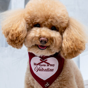 BANDANA HEARTBREAKER CLASSIC