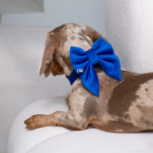 PACK BASICO VELVET AZULINO