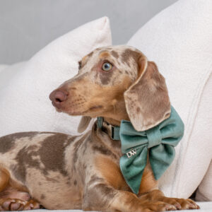 PACK BASICO VELVET VERDE MENTA