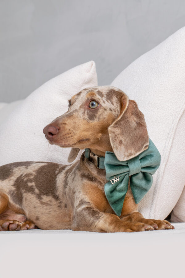 PACK BASICO VELVET VERDE MENTA