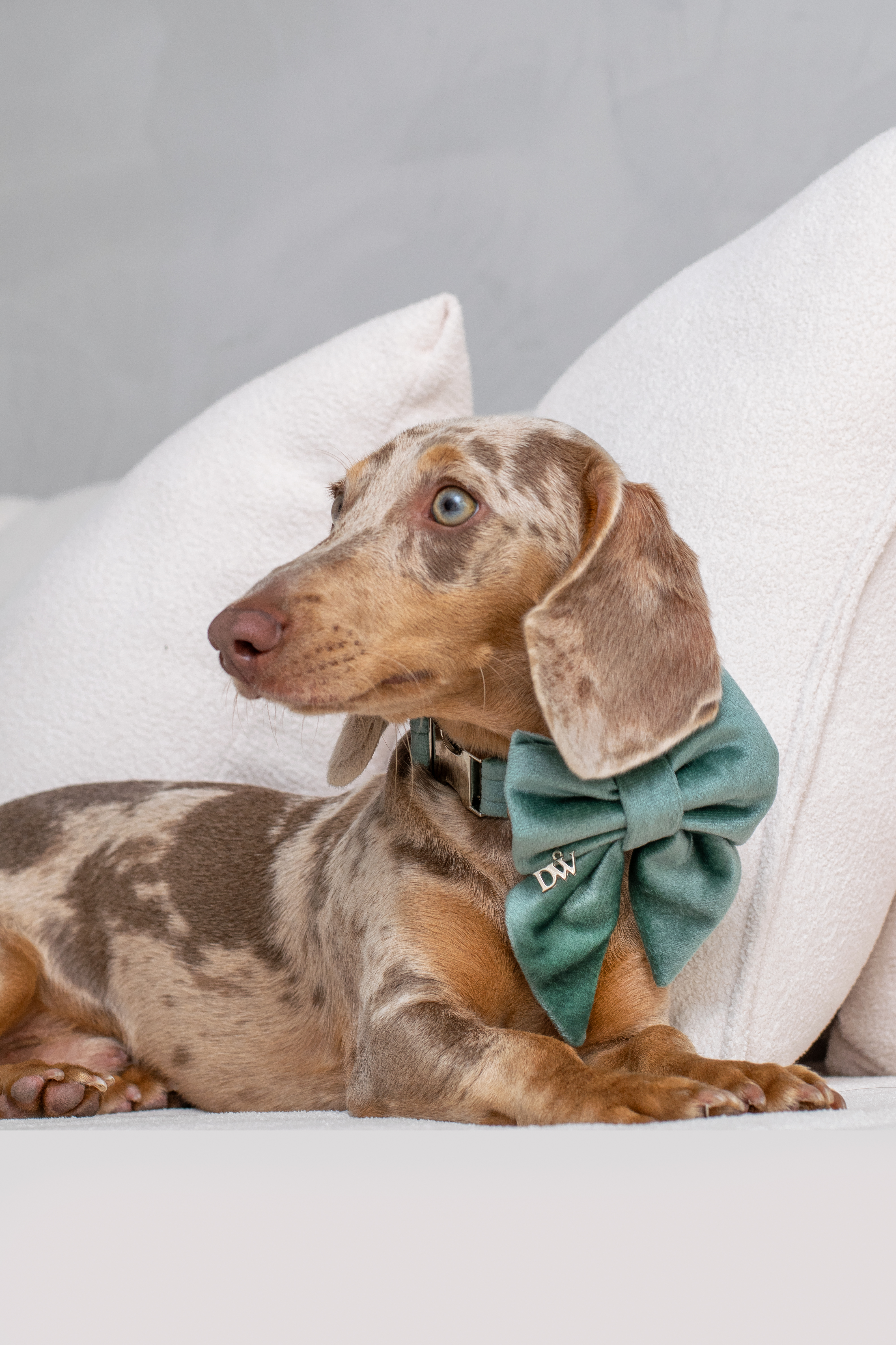 PACK BASICO VELVET VERDE MENTA