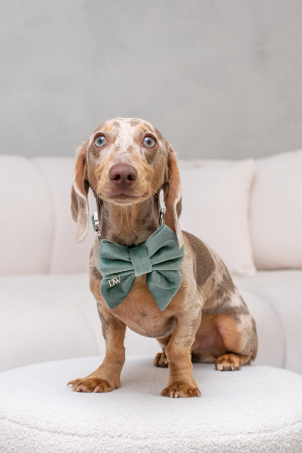 PACK BASICO VELVET VERDE MENTA