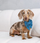 PACK BASICO DENIM AURA