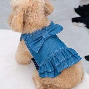 DENIM DRESS